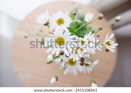 Spring flowers on round wooden table. beautiful floral image background. Seasonal flower interior. Flowers top view.