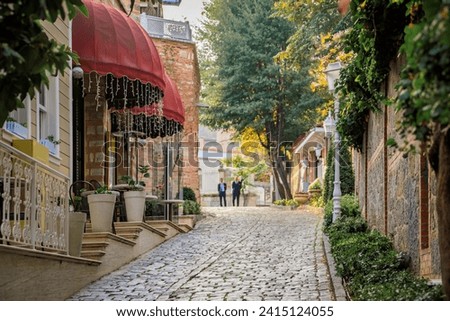 Soguk Cesme Sokak, small car free cobblestone street with historic houses in Sultanahmet, between Hagia Sophia and Topkapi Palace, Istanbul, Turkey Royalty-Free Stock Photo #2415124055