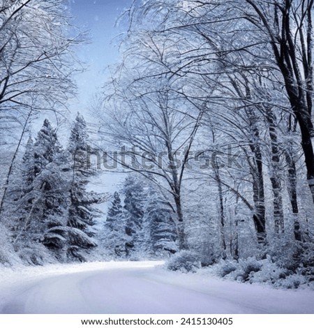 winter season holiday pic, road and trees covered with snow