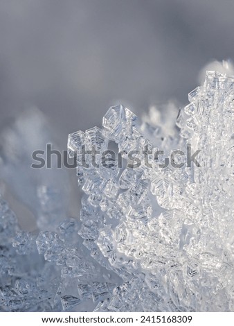 Macro image of collection of snowflakes 