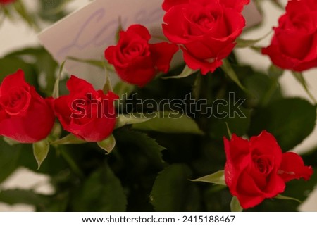 a bouquet of beautiful red roses in a vase on the table