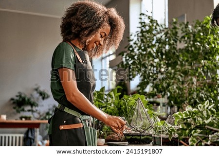 Botany decoration. Side view of african woman filling polyhedron florarium with stones and green plants at workshop. Professional female floral designer creating beautiful composition by hands. Royalty-Free Stock Photo #2415191807