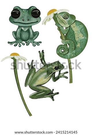 Illustration, set with frog, chameleon and camomile, watercolor
