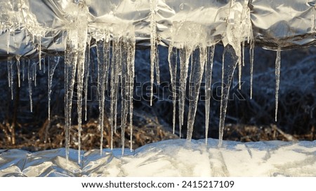 A close-up view of icicles hanging from a surface, glistening in the sunlight Below the icicles, snow is accumulated, reflecting the chilly atmosphere. Royalty-Free Stock Photo #2415217109