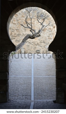 Enchanting winter scene framed by the archaic charm of an old stone arch, offering a captivating view of a solitary tree adorned with winter's embrace Royalty-Free Stock Photo #2415230207