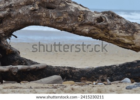 Artistic portrayal of a curved piece of wood resembling an eye, gazing towards the vastness of the sea, creating a symbolic connection Royalty-Free Stock Photo #2415230211