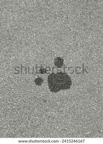 Oil stain in the shape of a dog's foot
