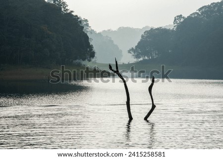A great silhouette on a morning boat ride in thekkady