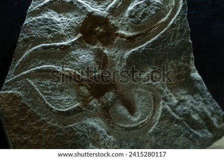 Ophiures (Echinoderm) are marine echinoderms with radial symmetry, featuring a central disk, five arms, and tube feet. Fossilized remains aid in understanding ancient marine ecosystems, providing insi Royalty-Free Stock Photo #2415280117