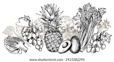 Horizontal arrangement of fruits and vegetables. Pineapple, avocado, grapes, celery and artichoke vector illustrations.
