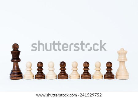 Chess figure isolated on white background
