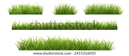 Grass Border Set And Isolated White Background , Vector Illustration