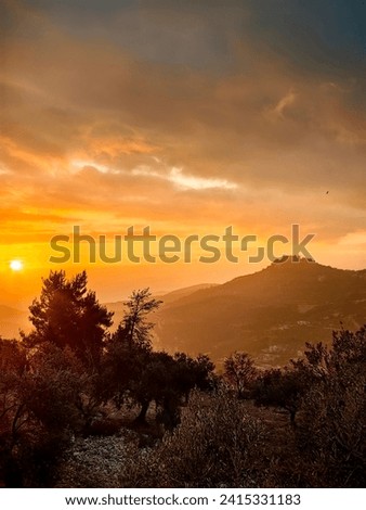 A collection of pictures at sunset in the northen part mountains of Jordan 