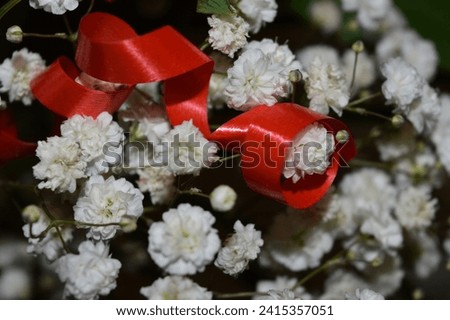 Small white flowers as decoration in bouquets, isolated. Red decorative tape. A close-up shot. Royalty-Free Stock Photo #2415357051
