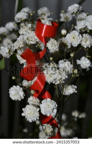 Small white flowers as decoration in bouquets, isolated. Red decorative tape. A close-up shot. Royalty-Free Stock Photo #2415357053