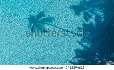 The palm shadow background blue color texture pattern