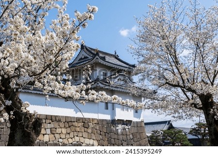 Cherry blossom along the moat of the Nijo Castle, Kyoto, Japan.