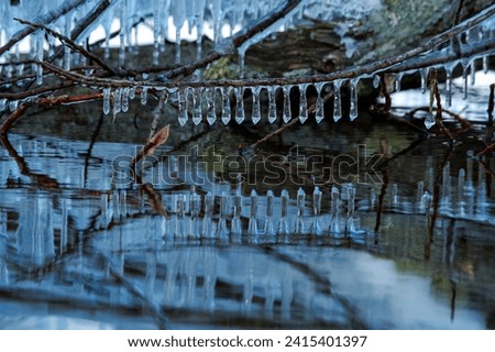 Tree branches with icicles on the shore of a lake in winter.