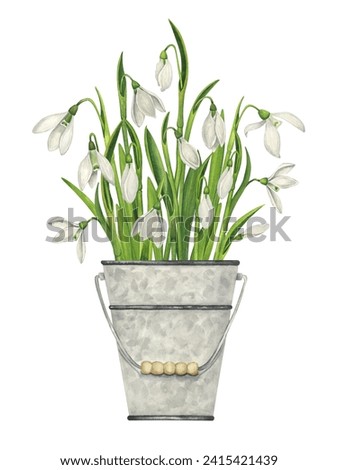 Bouquet of snowdrops in a metal bucket. Watercolor vintage illustration of spring wild flowers.