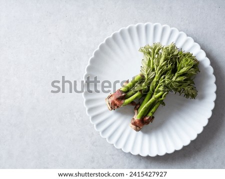 edible shoots of a fatsia Royalty-Free Stock Photo #2415427927
