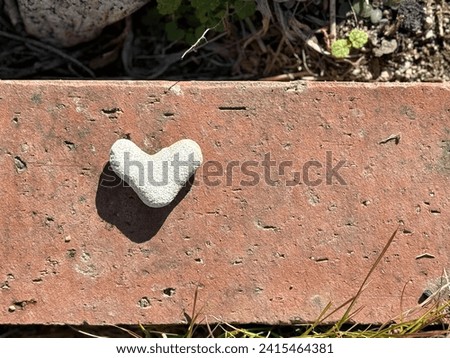 Heart-shaped coral placed on brick_right space