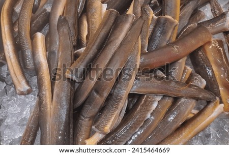 Anguilliformes or fresh eel fish that have been cut into pieces and sold in supermarkets or traditional markets. Sliced ​​eel fish on top of a pile of crushed ice cubes.