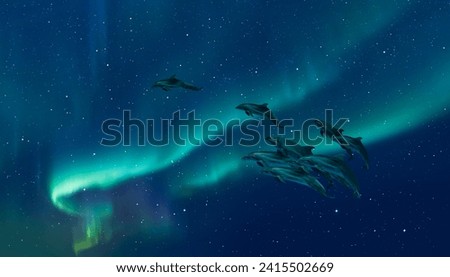 Group of dolphins jumping on the water with aurora borealis