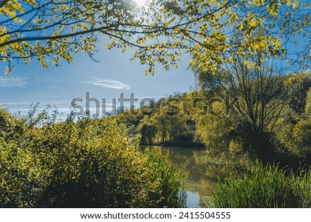 Spring landscape, a small pond in the forest on a sunny day, the sun shining through the branches of a tree