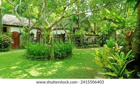 yard with plants, trees and fresh green grass
