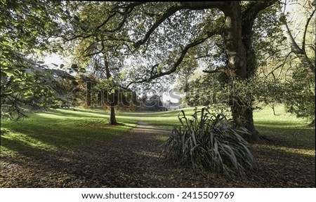 Cockington Country Park in Devon showing trees and shrub in foreground with view to country house in distance Royalty-Free Stock Photo #2415509769