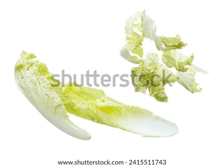 Chinese Cabbage fly in mid air, green fresh vegetable chinese cabbage falling leaf. Organic fresh vegetable with eaten leaf of chinese cabbage, close up texture. White background isolated freeze Royalty-Free Stock Photo #2415511743