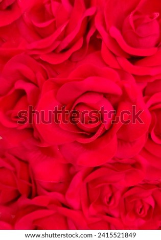 Big bouquet of fragrant red roses for a gift For couples on Valentine's Day, wedding days, or anniversaries use for advertising work, background,wallpaper,print patterns for many work Royalty-Free Stock Photo #2415521849
