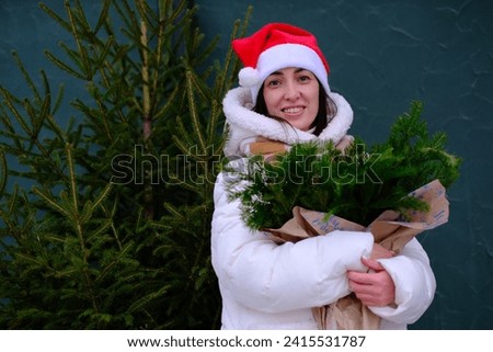 A cute woman in red christmas hat is smiling and holding fir branches on green background.