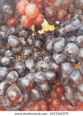 Black and blue grapes stock image. Image of pink, cluster, berry ....this is good fruits in our helth.  