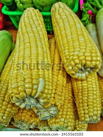Picture of stack fresh yellow corn in the market