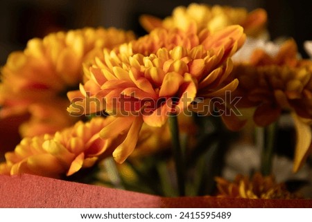 Beautiful bouquet of flowers with  orange chrysanthemums, the ideal gift for Valentine's Day (love), Mother's Day, birthday or a celebration. Elegant flower wallpaper. Orange wallpaper image.  