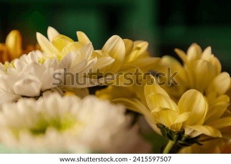 Beautiful bouquet with white and yellow flowers (daisy), the ideal gift for Valentine's Day (love), Mother's Day, birthday or a celebration. Elegant flower wallpaper. Yellow and green wallpaper image.
