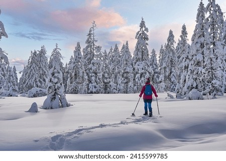 nice and active senior woman hiking with snow shoes in deep powder snow in the  Hochhaedrich area of Bregenz Forest in Vorarlberg, Austria
