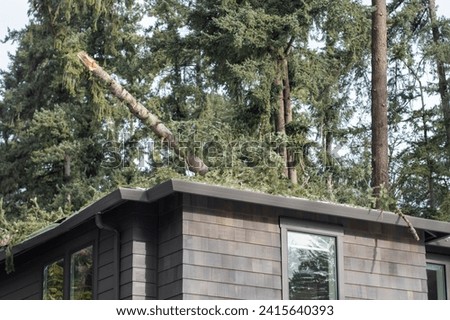 Fallen tree and tree limbs on the roof of a residential building after severe winter snow storm and strong winds. Royalty-Free Stock Photo #2415640393