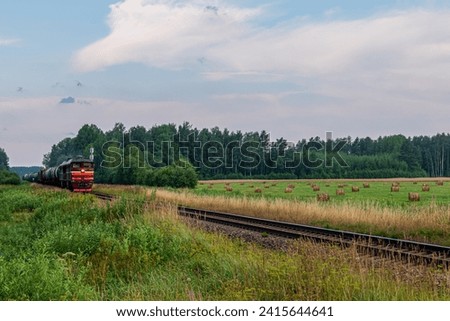 A train with many carriages passes through a meadow