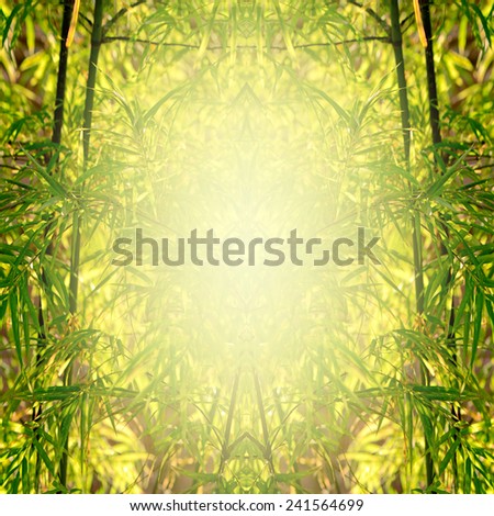 Small Bamboo Forest with Soft Light.