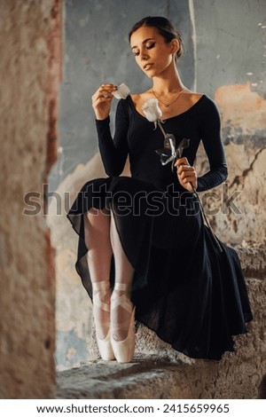 A gracious ballerina is tearing rose petal while sitting at abandoned and ghosted castle alone. Sad ballet artist is ruins beautiful flower. Metaphor for broken, sorrowful but still beautiful spirit Royalty-Free Stock Photo #2415659965