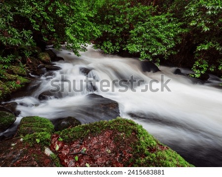 Stunning nature scene with fast flowing water in a stream near Torc waterfall. Killarney, Ireland, ring of Kerry route. Magnificent Irish nature landmark and popular tourist area with easy access.