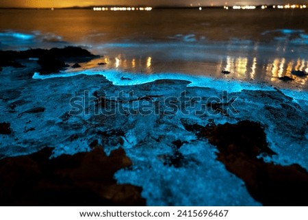 Bioluminescent Beaches (Various locations): Some beaches around the world, like Mosquito Bay in Vieques, Puerto Rico, and Vaadhoo Island in the Maldives, experience bioluminescence. Royalty-Free Stock Photo #2415696467