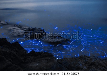 Bioluminescent Beaches (Various locations): Some beaches around the world, like Mosquito Bay in Vieques, Puerto Rico, and Vaadhoo Island in the Maldives, experience bioluminescence. Royalty-Free Stock Photo #2415696575