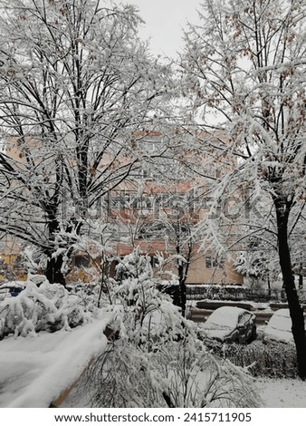 Discover a serene winter spectacle in this photo where snow-clad trees, parked cars, and city streets merge, creating a harmonious blend of nature and urbanity. The enchanting scene captures the quiet
