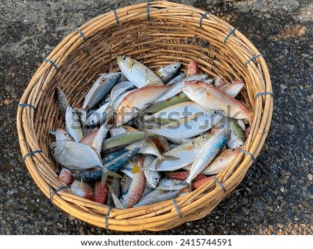 Fresh mixed fish in basket at traditional market.