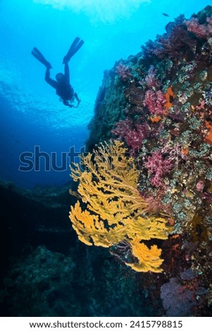 Scuba Diving at the USAT Liberty Wreck, Tulamben, Bali, Indonesia