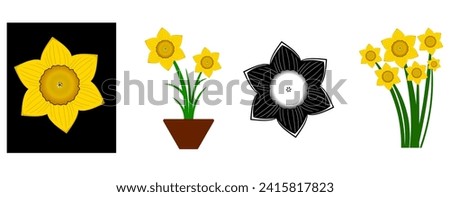 set of positive floral illustrations isolated on white background. Early spring garden flowers. Yellow daffodils bouquet. Clip art for bright festive greeting card, poster, banner. Womens Day