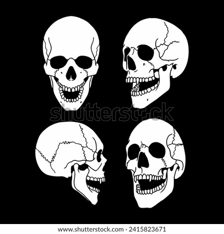 skull head. vector human bones